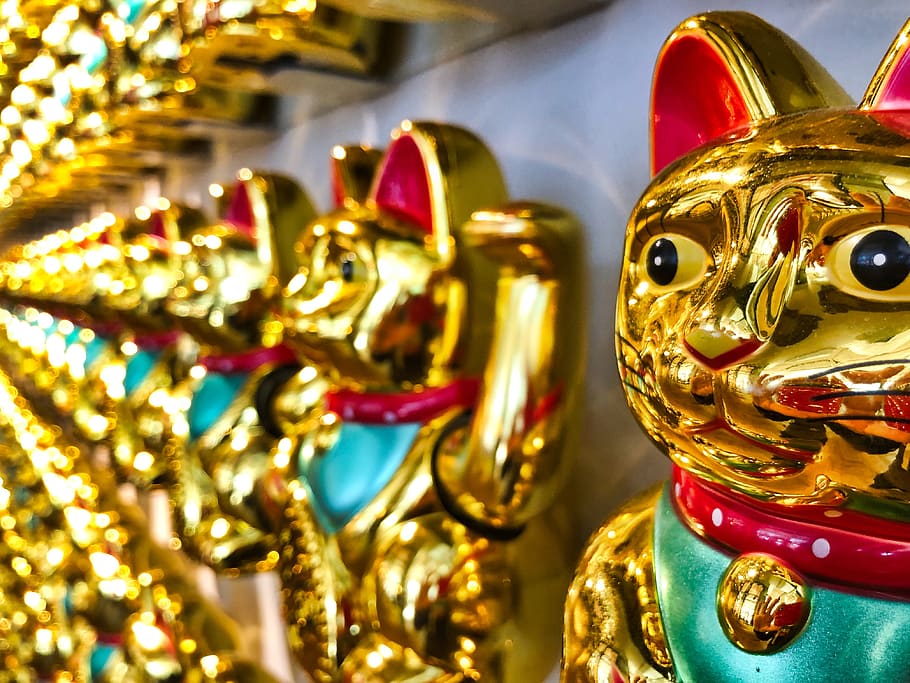 Lucky cat HD wallpapers  Pxfuel