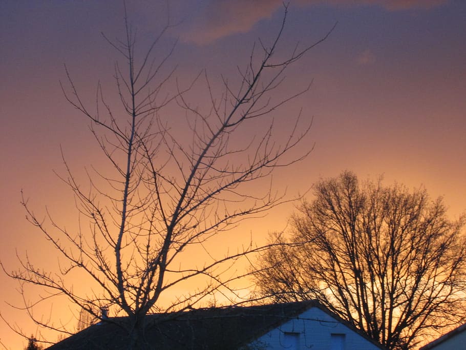 tree, home, sunset, bare tree, sky, architecture, branch, orange color HD wallpaper