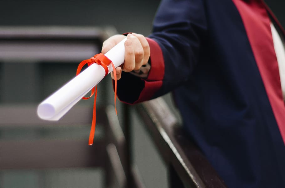 Person Holding White Scroll, accomplishment, diploma, hand, one person HD wallpaper