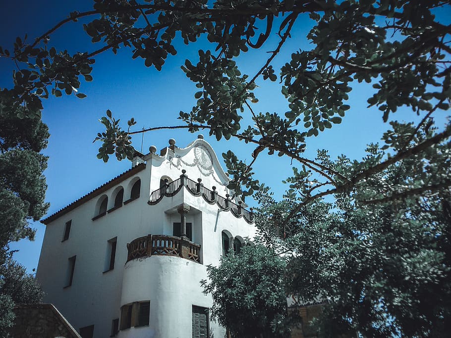 Photo Of White House During Daytime, architecture, blue sky, branches HD wallpaper