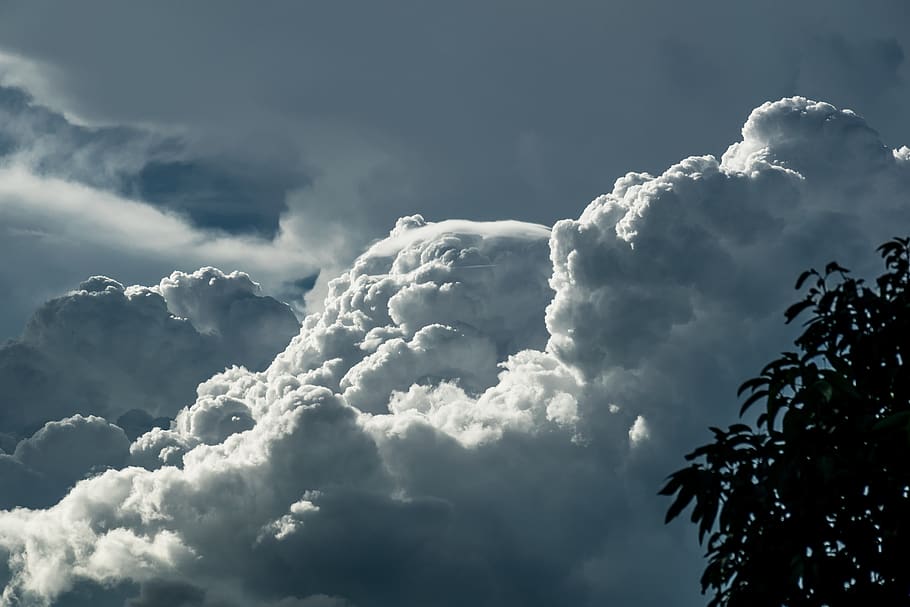 White and Blue Cloudy Sky and Silhouette of Tree Leaves, clouds HD wallpaper