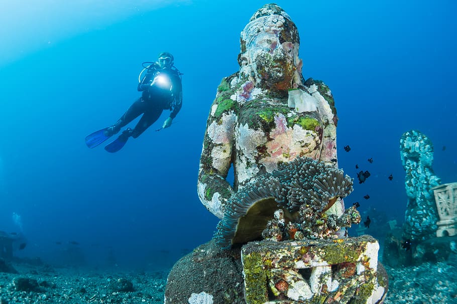 diver diving on ocean floor near statue, water, outdoors, human, HD wallpaper
