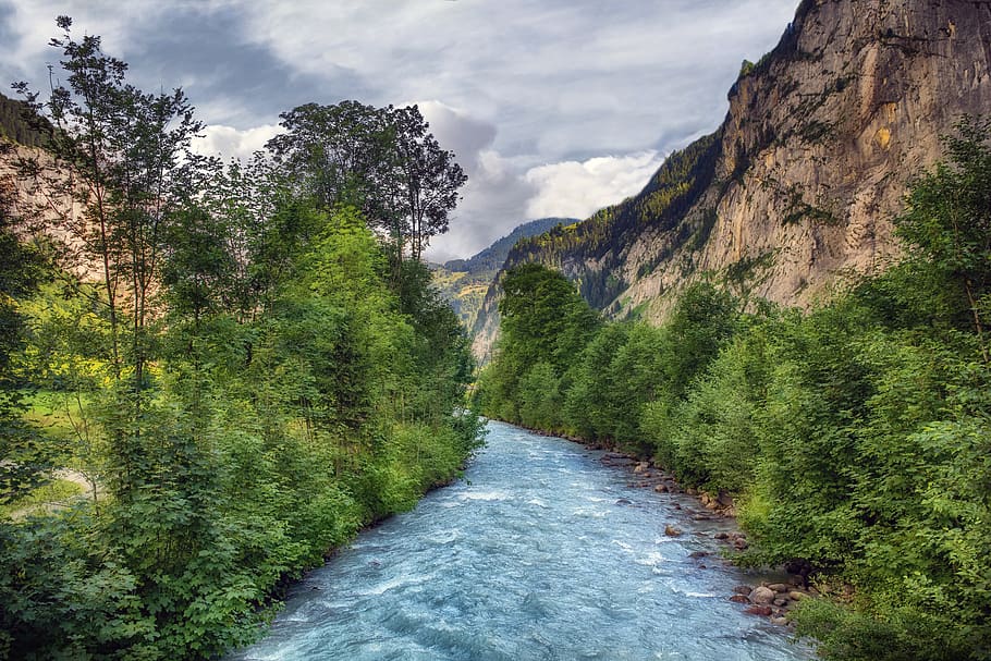 river, mountain, nature, landscape, trees, wilderswil, switzerland HD wallpaper