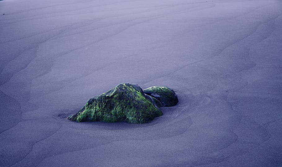 gray rock, plant, moss, algae, crystal, nature, sand, outdoors HD wallpaper