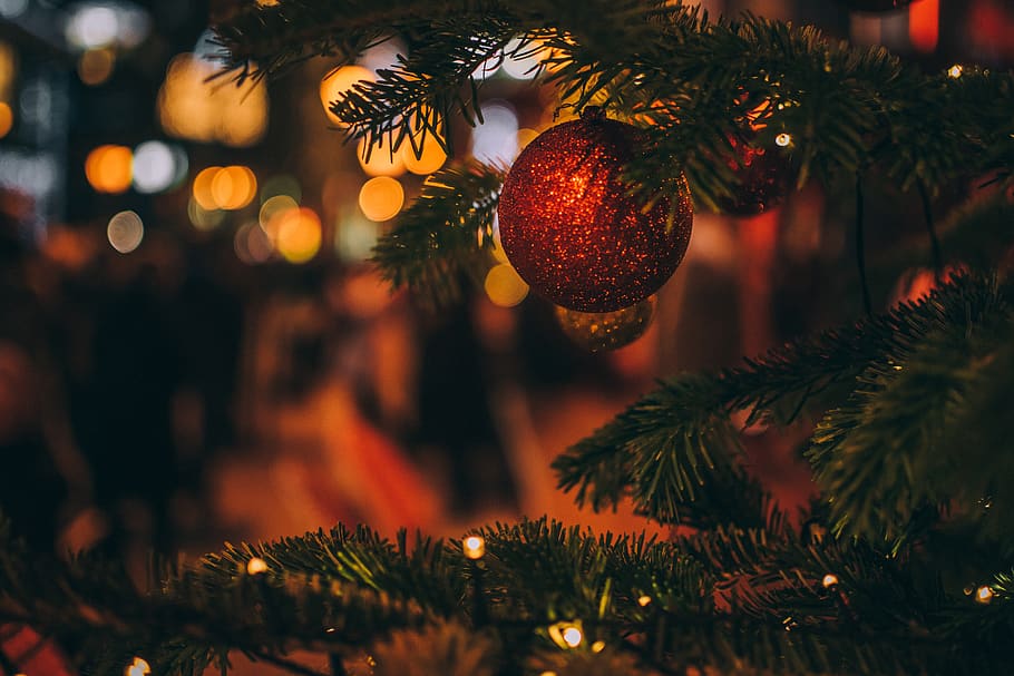 red bauble on tree, christmas, christmas decoration, christmas tree HD wallpaper