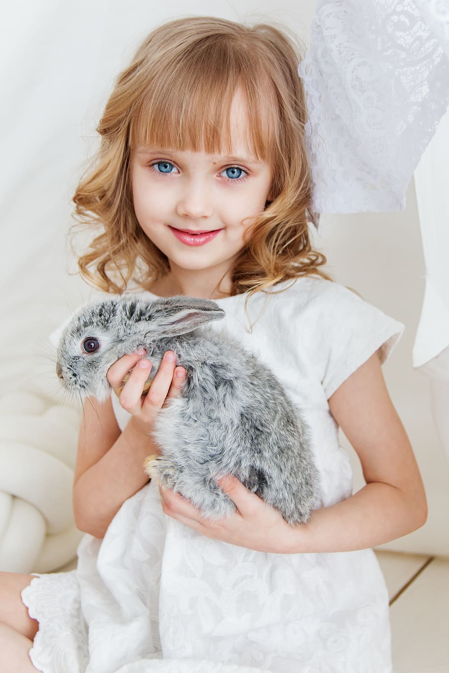 Smiling Girl Holding Gray Rabbit, adorable, animal, attractive