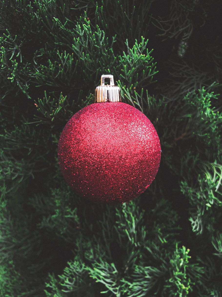 red bauble, ornament, lighting, tree, plant, christmas, australia HD wallpaper