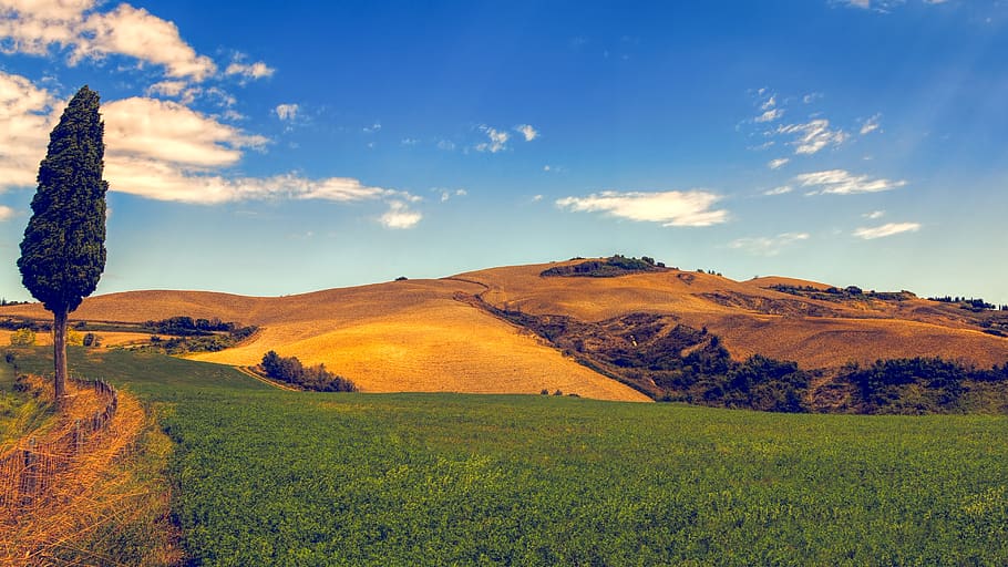 Green Grass and Mountain Under Blue Sky, cloud, clouds, cropland HD wallpaper