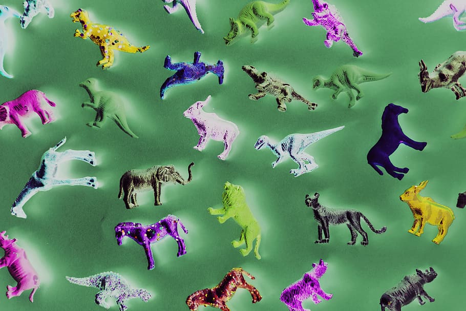 Assorted-color Animal Toy Lot, animals, close-up, collection HD wallpaper