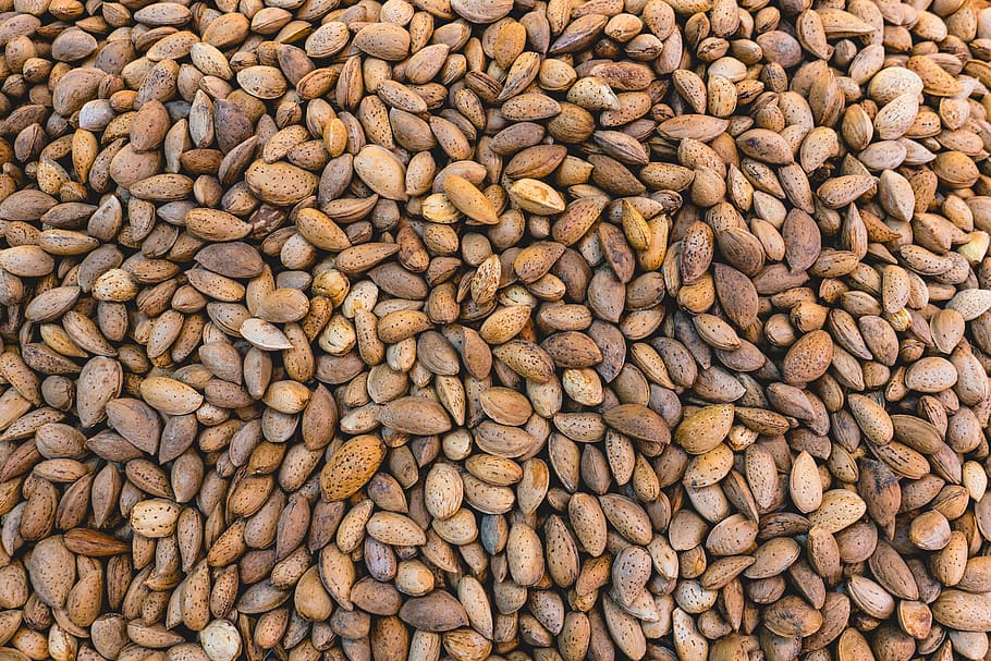 soy bean lot, food and drink, abundance, large group of objects HD wallpaper