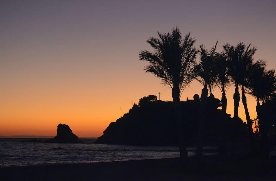spain, almuñécar, sunset, sky, silhouette, tree, beauty in nature HD wallpaper