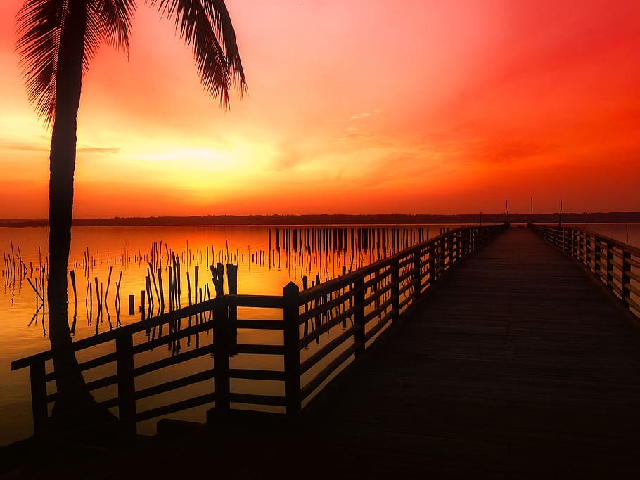 Silhouette Photo of Dock in Golden Hour, beach, beautiful, clouds HD wallpaper