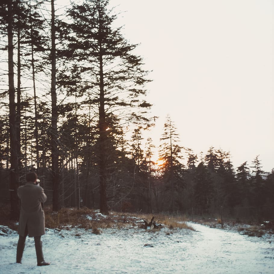 tree, plant, one person, real people, winter, beauty in nature HD wallpaper
