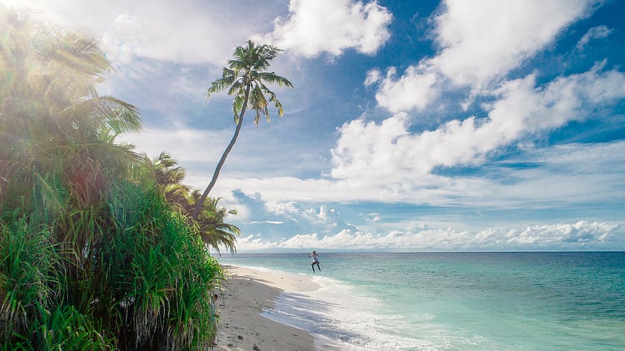 Person Running on Seashore Under White Clouds, beach, beautiful HD wallpaper