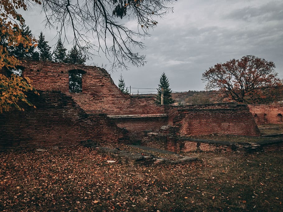 ancient, old, nature, fall, brick wall, walls, monastary, ruins HD wallpaper