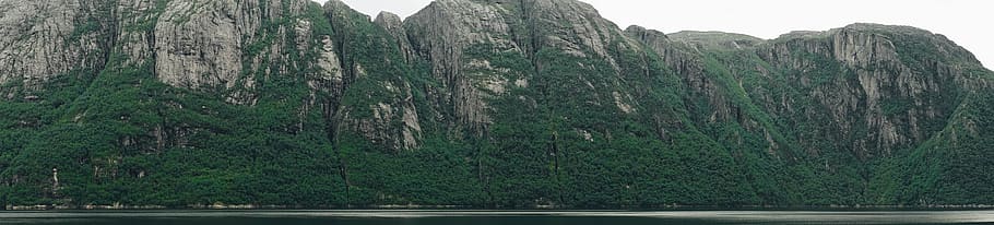 norway, lysefjord, green, tree, trees, mountain, mounatins, HD wallpaper