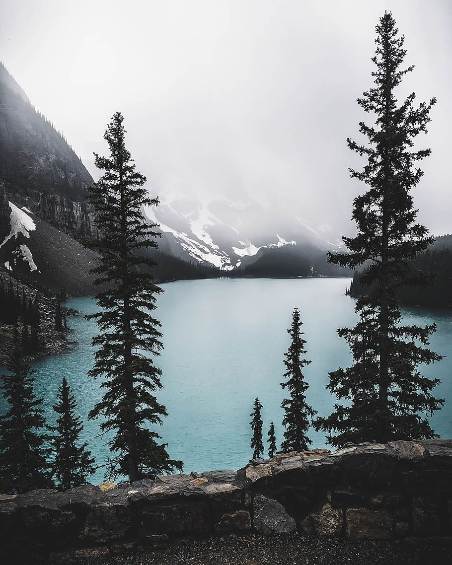 body of water near mountain, tree, wall, forest, woodland, nature HD wallpaper