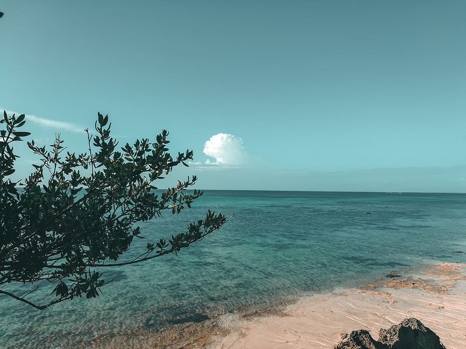 Sea Under Clear Sky, beach, daylight, nature, ocean, sand, scenic HD wallpaper