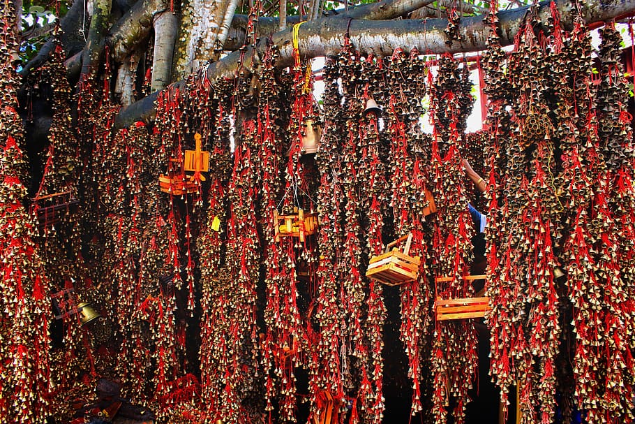 assorted hanging decors on tree, worship, accessory, bead, accessories, HD wallpaper