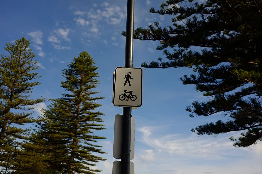 australia, glenelg, walking permitted, road signs, bicycle lane, HD wallpaper