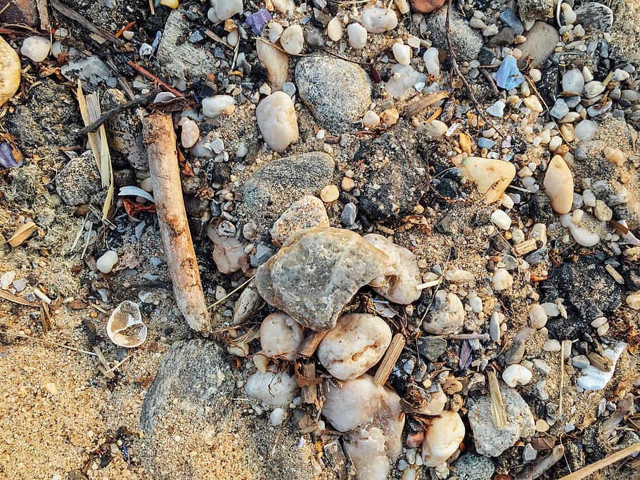 Shells and Rocks on Sand, Beaches, Macro, Nature, Objects, Summer HD wallpaper