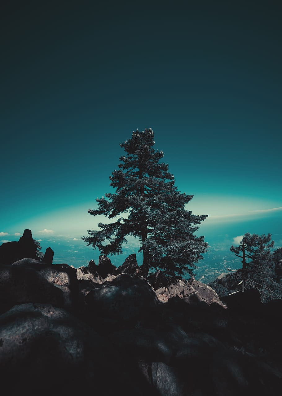 landscape photography of green leafed tree, rock, sky, cloud HD wallpaper