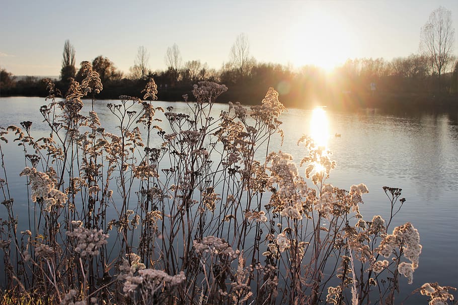 wallpaper, sun, autumn, fall, river, water, plant, lake, tranquility HD wallpaper