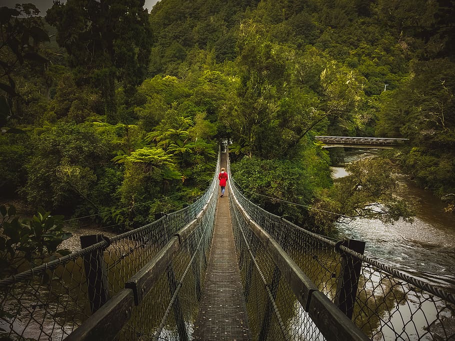 Person Walking on Hanging Bridges, forest, idyllic, nature, scenery HD wallpaper