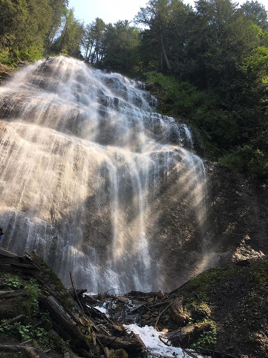 canada, bridal falls, tree, waterfall, scenics - nature, beauty in nature HD wallpaper