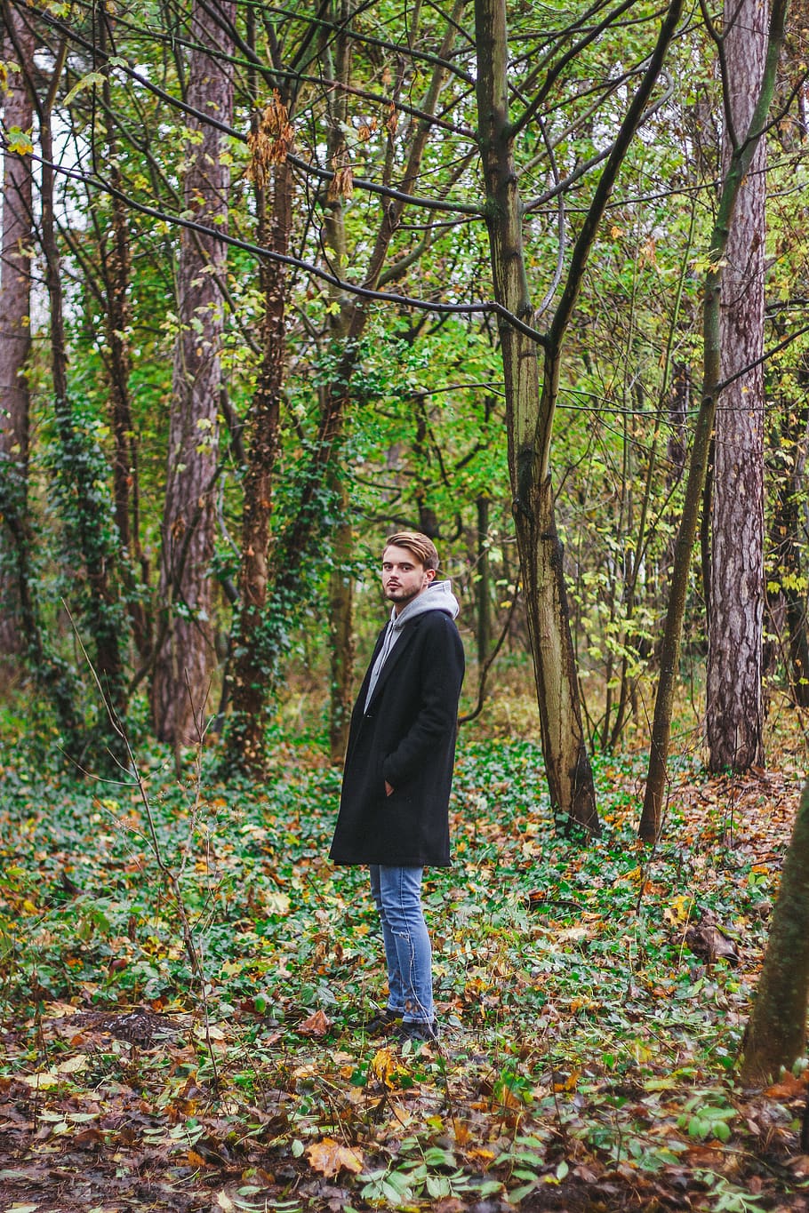 man standing surrounded trees, plant, one person, land, real people HD wallpaper