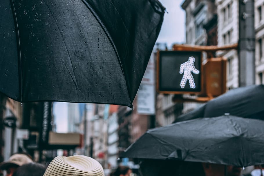 people using black umbrellas, architecture, building exterior HD wallpaper