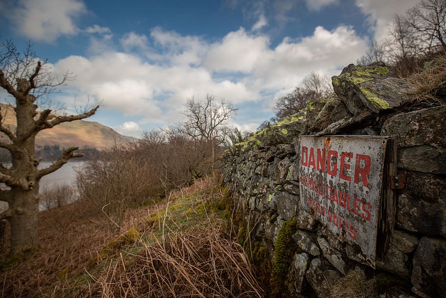 White Danger Signage Near Brown Leafless Tree, abandoned, daylight HD wallpaper