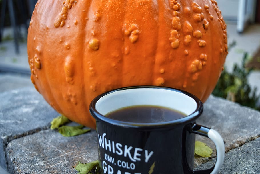 whiskey, coffee, pumpkin, fall, autumn, gourd, seasons, orange HD wallpaper