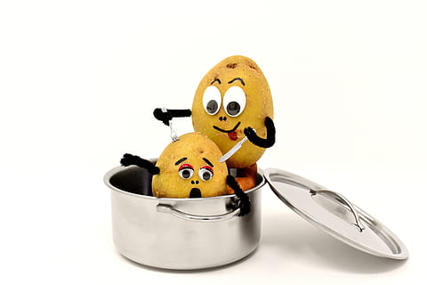 anxious, panic, cannibal, funny, potatoes, knife, fork, eat HD wallpaper