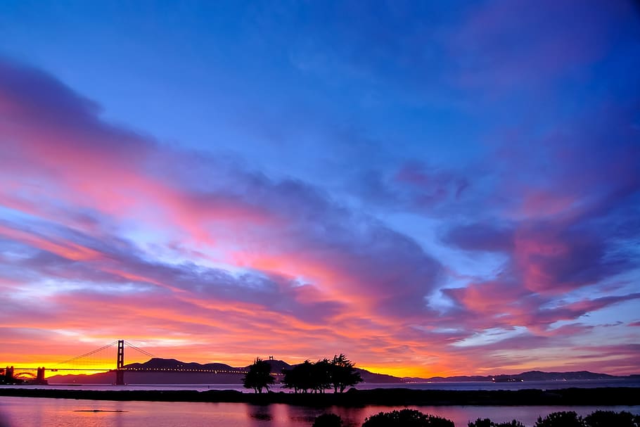 Silhouette Photography of Trees during Golden Hour, architecture HD wallpaper