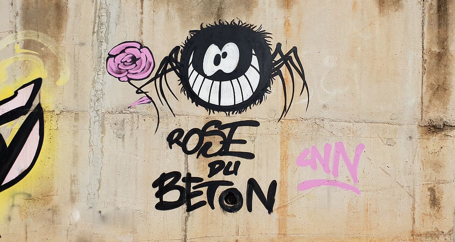 Rose Du Beton graffiti, wall, flower, mural, painting, art, concrete, HD wallpaper