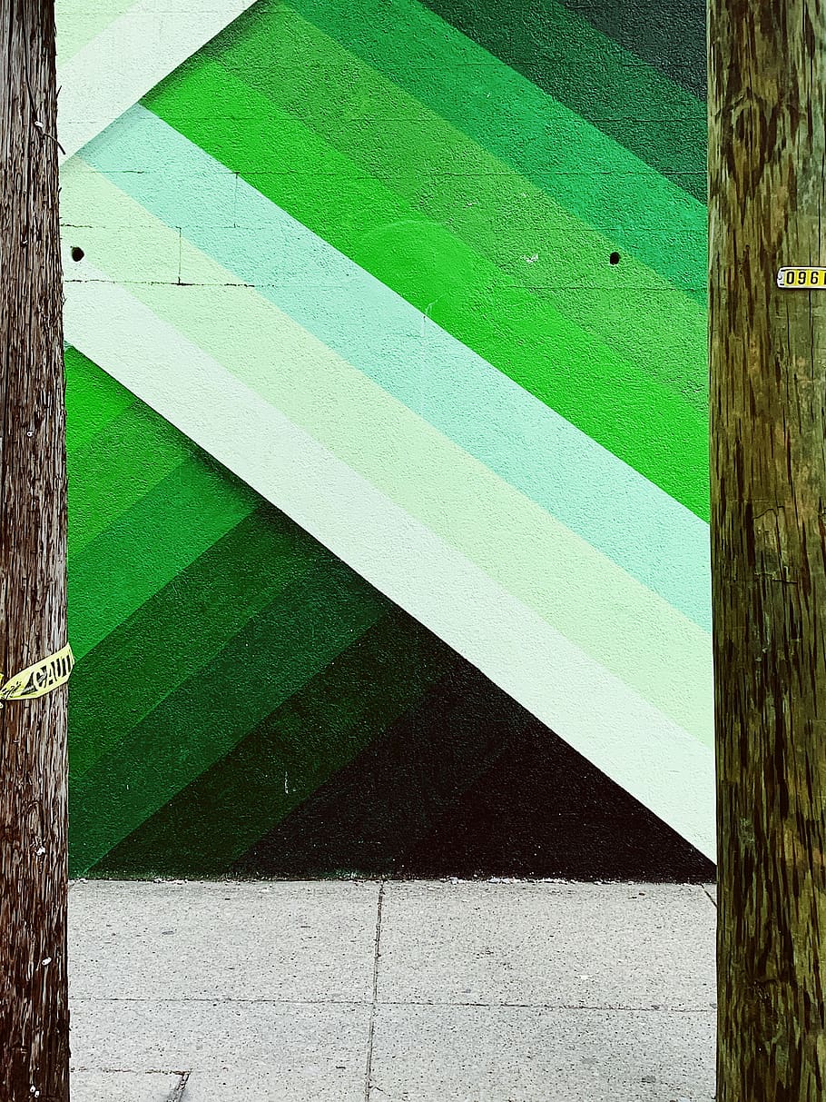 plant, tree trunk, rug, wood, path, grass, road, asphalt, tarmac HD wallpaper