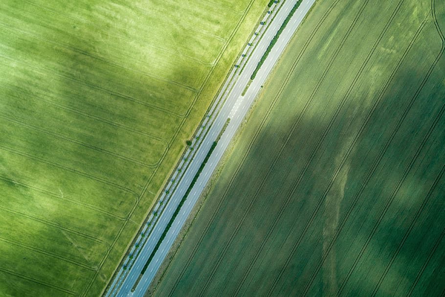 Aerial view of a road in the middle of a field, green color, abstract HD wallpaper