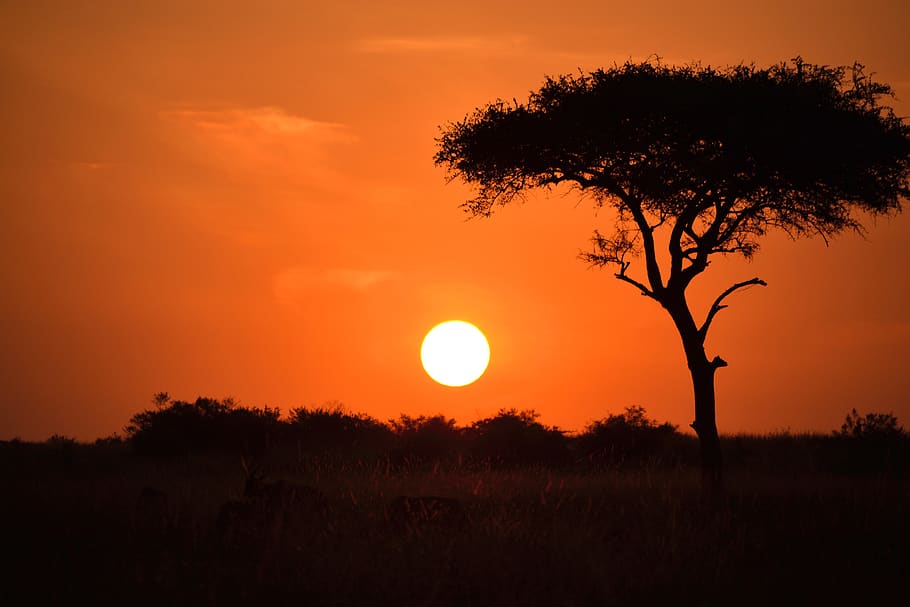 1920x1080px | free download | HD wallpaper: kenya, chyulu hills, sunset ...