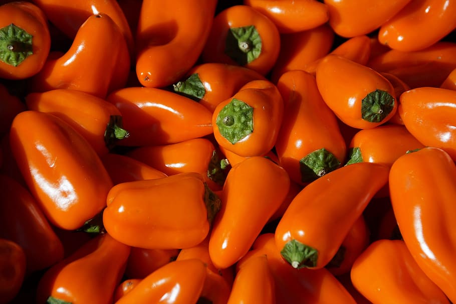 pepper, peppers, orange, sweet, vegetables, fresh, vegetarian HD wallpaper