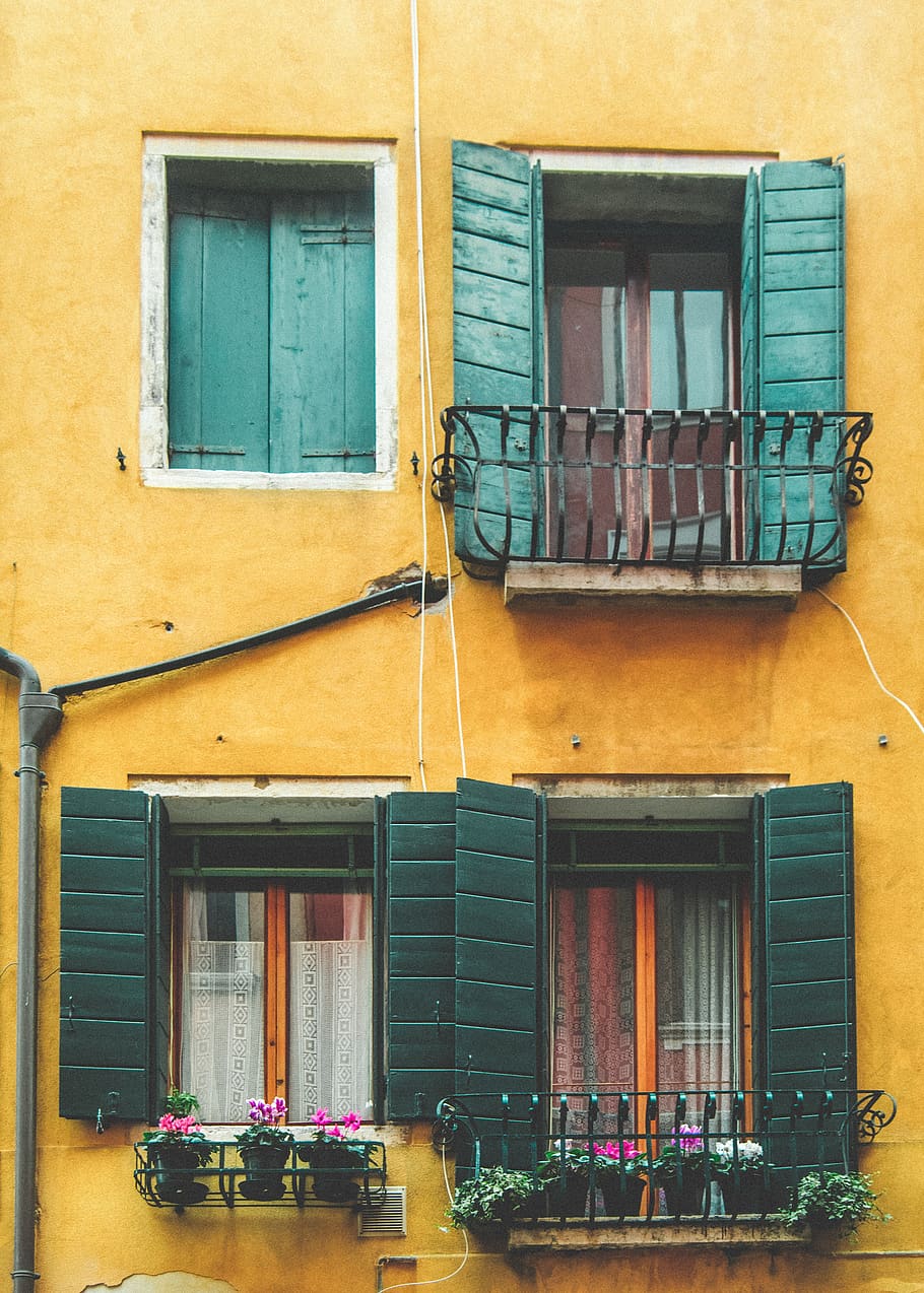 Green Wooden Windows, building, plants, shutters, wall, window shutters HD wallpaper