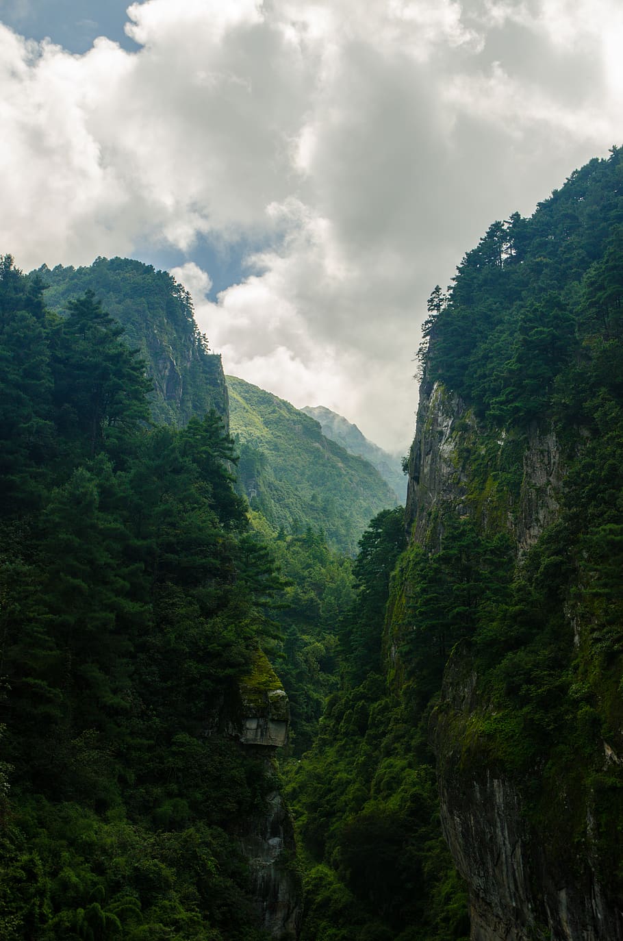 green trees on mountains, nature, outdoors, mountain range, plant HD wallpaper
