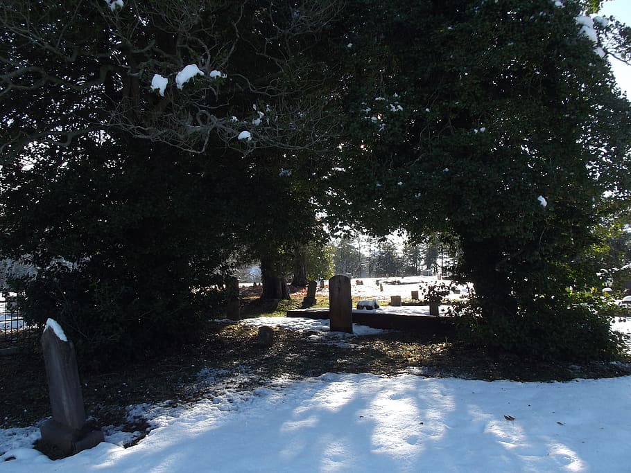 united states, dahlonega, graveyard, trees, snow, winter, arch, HD wallpaper