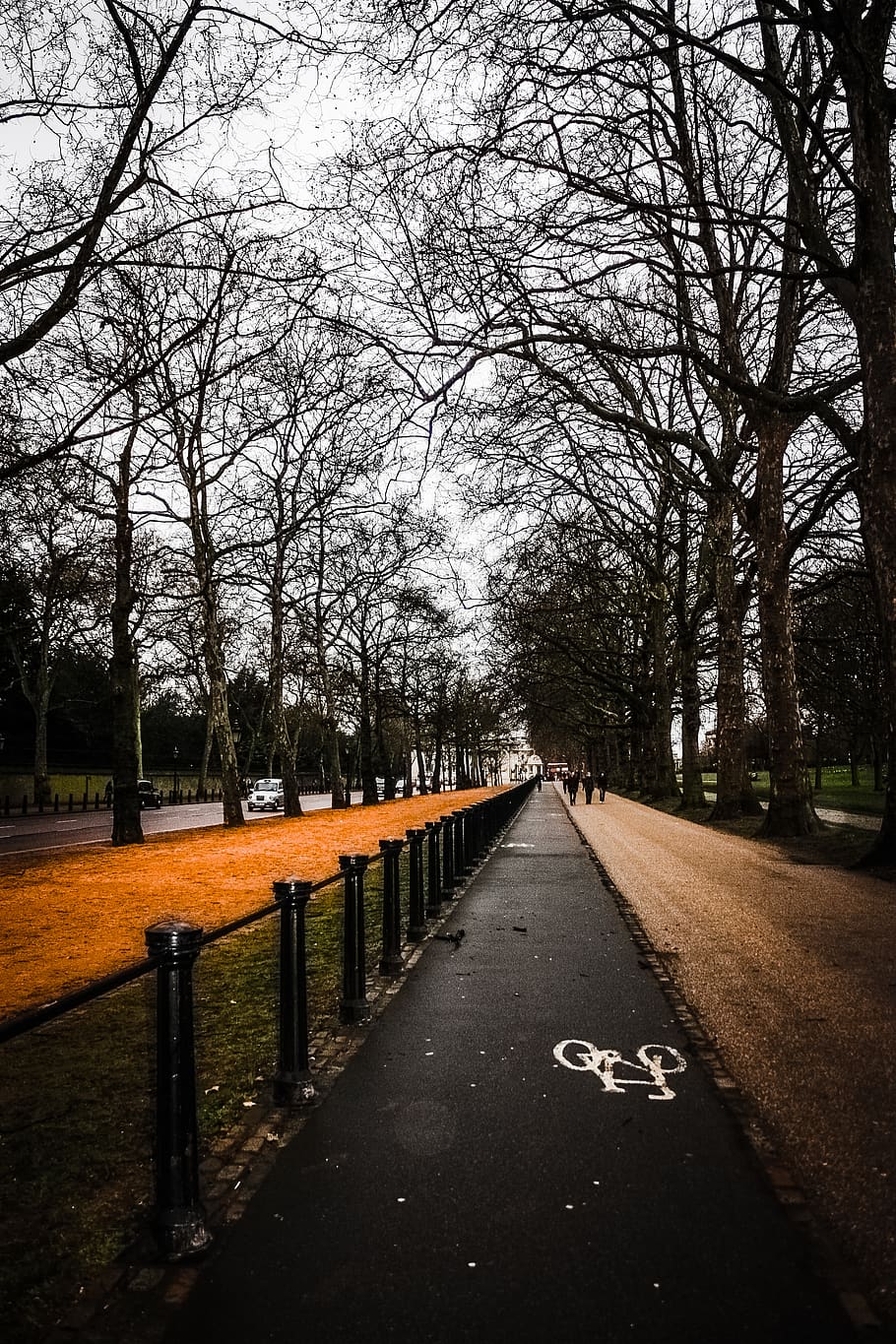 Empty Road Near Trees, asphalt, background, branches, city, dawn HD wallpaper