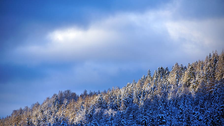 austria, seefeld, cloud - sky, cold temperature, beauty in nature HD wallpaper