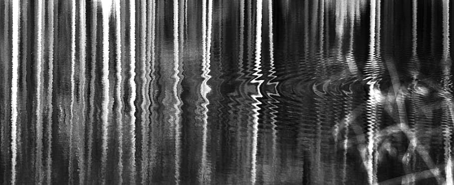 ripple, lake reflections, trees, bnw, pattern, full frame, close-up HD wallpaper