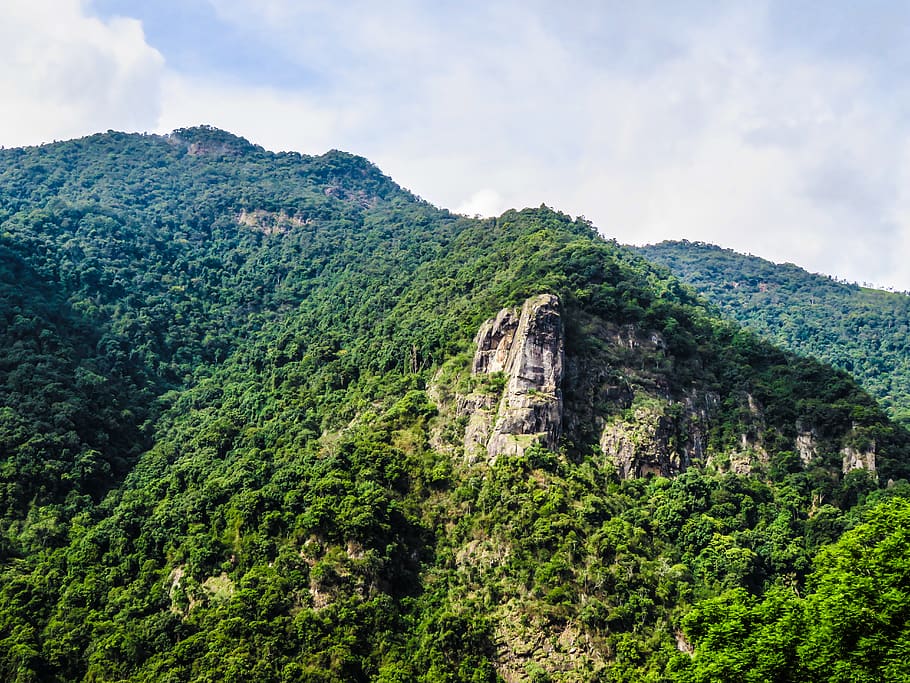 cliff, mountain, forest, jungle, nature, wildlife, landscape HD wallpaper