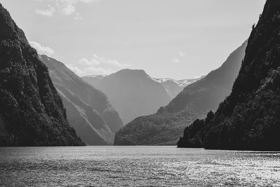 norway, black and white, landscape, trees, hills, fjord, layers