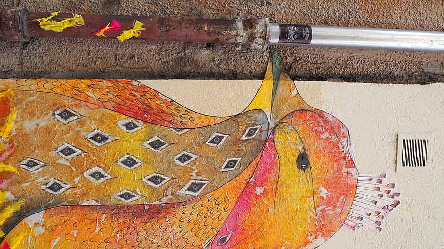 france, grenoble, uccello, multi colored, art and craft, creativity HD wallpaper