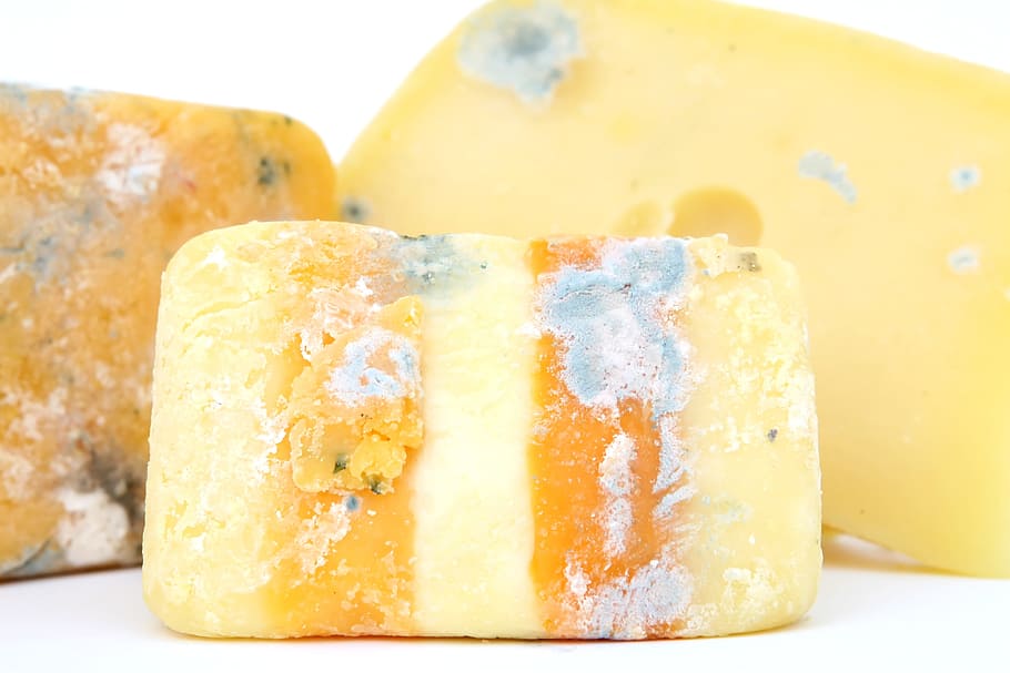 Can you get food poisoning from expired cheese?